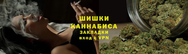 тгк Заводоуковск