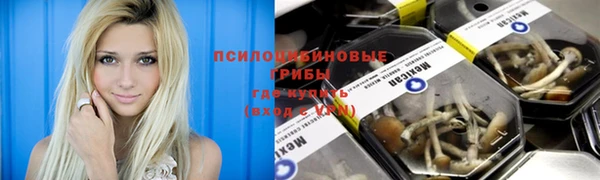героин Алзамай